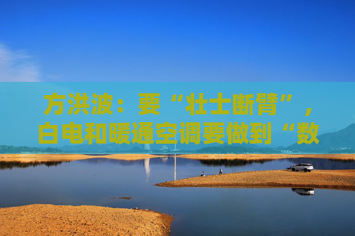 方洪波：要“壮士断臂”，白电和暖通空调要做到“数一数二”