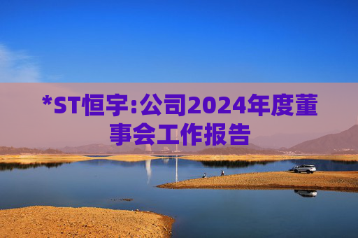 *ST恒宇:公司2024年度董事会工作报告  第1张