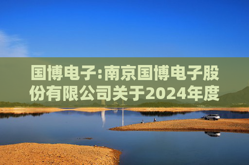 国博电子:南京国博电子股份有限公司关于2024年度募集资金存放与使用情况的专项报告