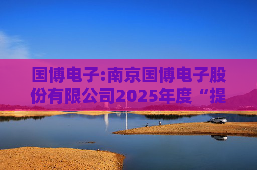 国博电子:南京国博电子股份有限公司2025年度“提质增效重回报”行动方案
