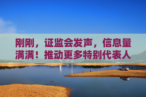 刚刚，证监会发声，信息量满满！推动更多特别代表人诉讼、先行赔付等案例落地，增强投资者的信任和信心  第1张