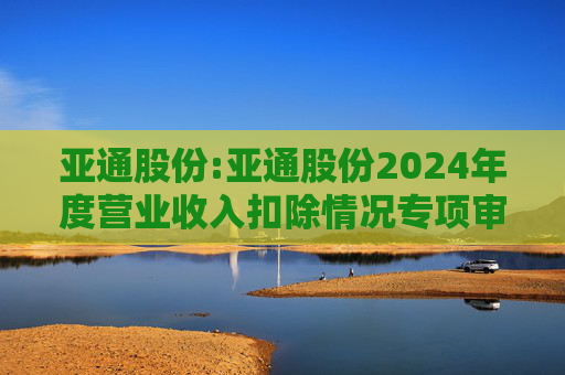 亚通股份:亚通股份2024年度营业收入扣除情况专项审核意见