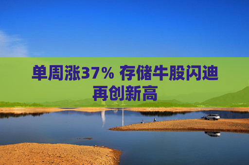 单周涨37% 存储牛股闪迪再创新高