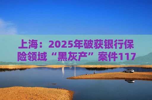 上海：2025年破获银行保险领域“黑灰产”案件117起 持续净化金融生态