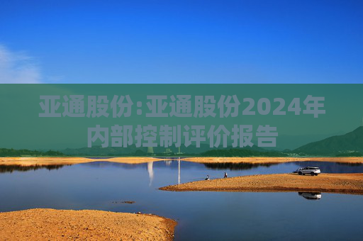 亚通股份:亚通股份2024年内部控制评价报告  第1张