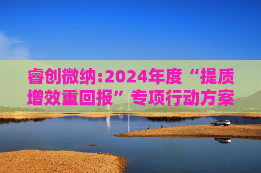 睿创微纳:2024年度“提质增效重回报”专项行动方案的评估报告暨2025年度“提质增效重回报”专项行动方案