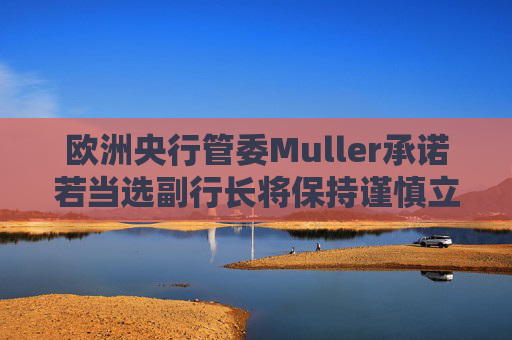欧洲央行管委Muller承诺若当选副行长将保持谨慎立场