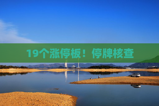 19个涨停板！停牌核查