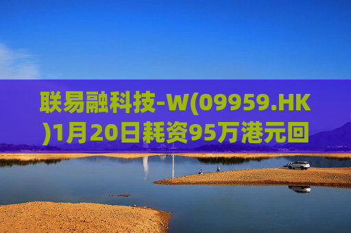 联易融科技-W(09959.HK)1月20日耗资95万港元回购40万股  第1张