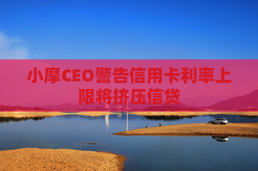 小摩CEO警告信用卡利率上限将挤压信贷