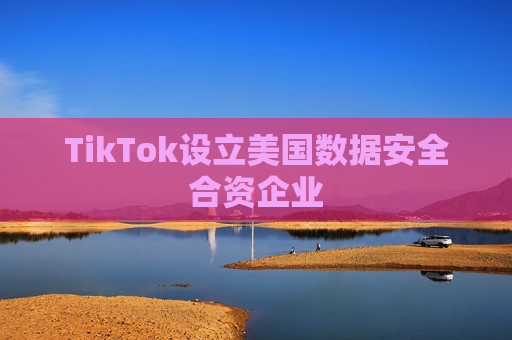 TikTok设立美国数据安全合资企业