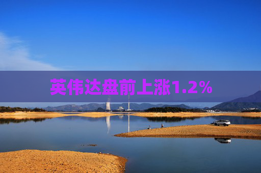 英伟达盘前上涨1.2%