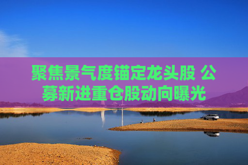 聚焦景气度锚定龙头股 公募新进重仓股动向曝光