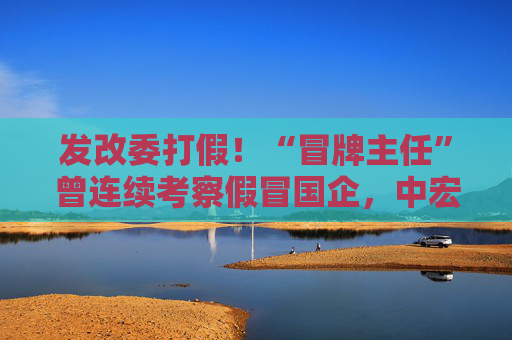 发改委打假！“冒牌主任”曾连续考察假冒国企，中宏院深夜发声