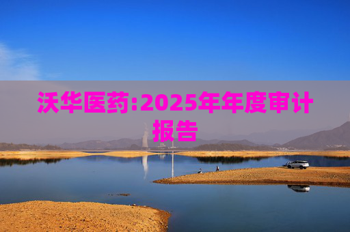 沃华医药:2025年年度审计报告