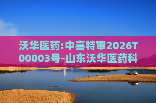 沃华医药:中喜特审2026T00003号-山东沃华医药科技股份有限公司-关联资金占用报告