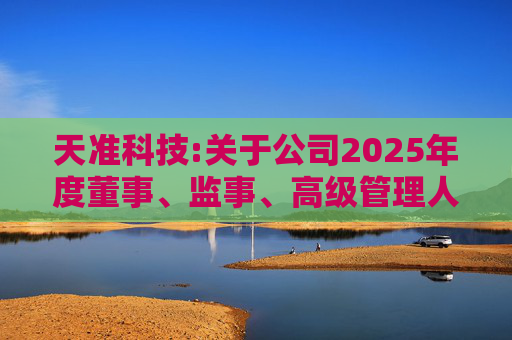 天准科技:关于公司2025年度董事、监事、高级管理人员薪酬方案的公告