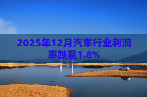 2025年12月汽车行业利润率跌至1.8%