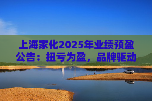 上海家化2025年业绩预盈公告：扭亏为盈，品牌驱动重回增长轨道