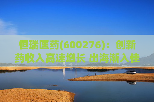 恒瑞医药(600276)：创新药收入高速增长 出海渐入佳境  第1张