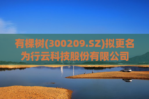 有棵树(300209.SZ)拟更名为行云科技股份有限公司