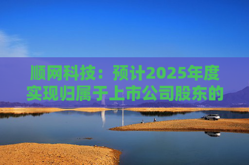 顺网科技：预计2025年度实现归属于上市公司股东的净利润约为36000万元至43000万元