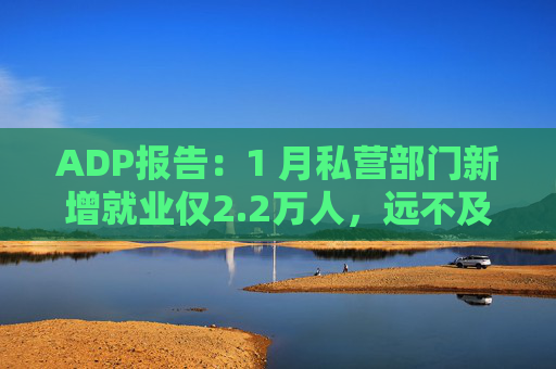 ADP报告：1 月私营部门新增就业仅2.2万人，远不及预期