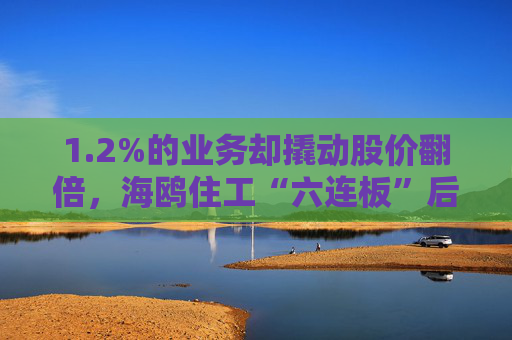 1.2%的业务却撬动股价翻倍，海鸥住工“六连板”后跌停，在越建厂能否扛住关税冲击？