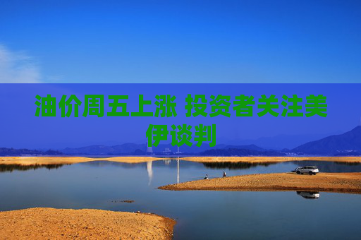 油价周五上涨 投资者关注美伊谈判  第1张