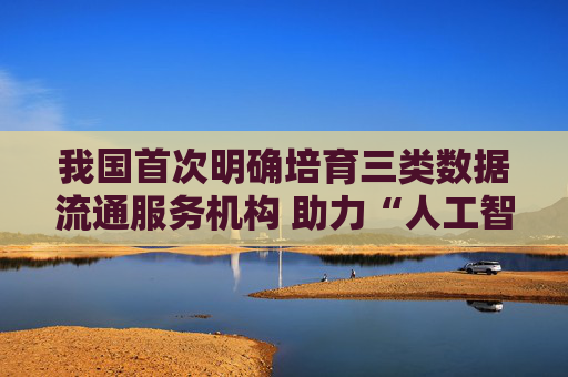 我国首次明确培育三类数据流通服务机构 助力“人工智能+”行动