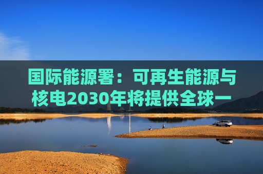 国际能源署：可再生能源与核电2030年将提供全球一半电力