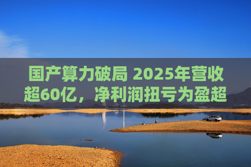 国产算力破局 2025年营收超60亿，净利润扭亏为盈超18亿