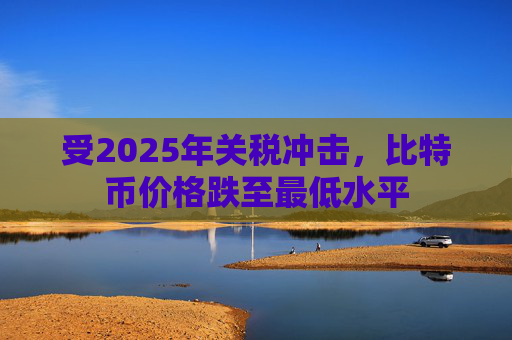受2025年关税冲击，比特币价格跌至最低水平