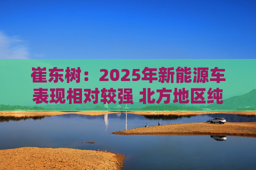 崔东树：2025年新能源车表现相对较强 北方地区纯电动占比提升明显