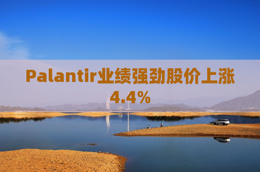 Palantir业绩强劲股价上涨4.4%