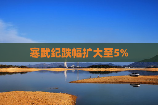寒武纪跌幅扩大至5%