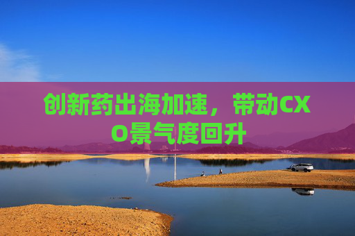 创新药出海加速，带动CXO景气度回升