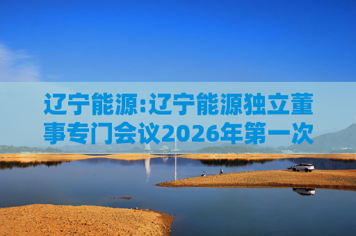 辽宁能源:辽宁能源独立董事专门会议2026年第一次会议决议