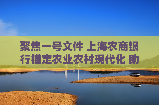 聚焦一号文件 上海农商银行锚定农业农村现代化 助力乡村振兴开新局
