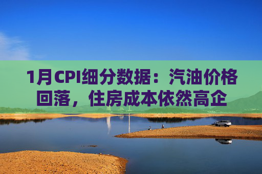 1月CPI细分数据：汽油价格回落，住房成本依然高企