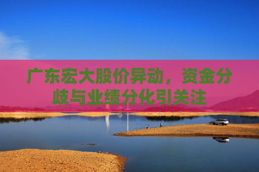 广东宏大股价异动，资金分歧与业绩分化引关注
