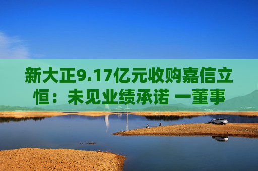 新大正9.17亿元收购嘉信立恒：未见业绩承诺 一董事反对一独董弃权