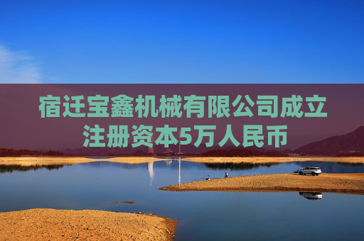 宿迁宝鑫机械有限公司成立 注册资本5万人民币