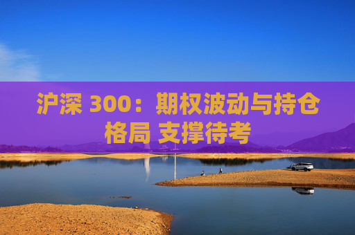沪深 300：期权波动与持仓格局 支撑待考  第1张