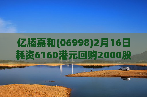 亿腾嘉和(06998)2月16日耗资6160港元回购2000股