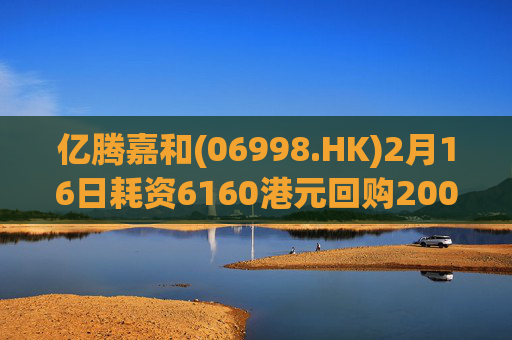 亿腾嘉和(06998.HK)2月16日耗资6160港元回购2000股