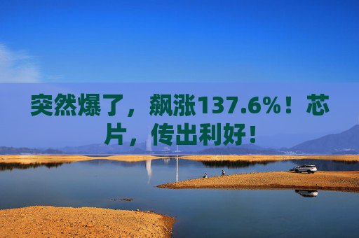 突然爆了，飙涨137.6%！芯片，传出利好！