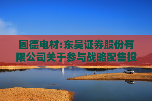 固德电材:东吴证券股份有限公司关于参与战略配售投资者的专项核查报告  第1张