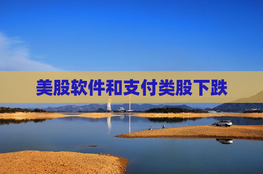 美股软件和支付类股下跌