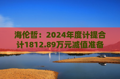 海伦哲：2024年度计提合计1812.89万元减值准备  第1张